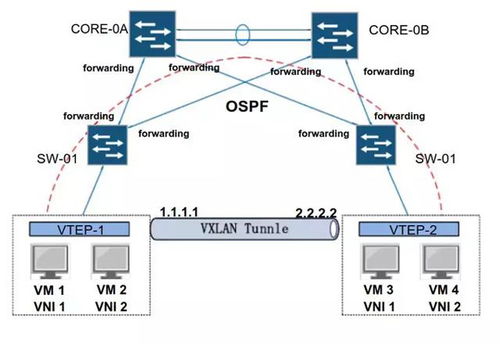 云計算底層技術在企業營銷策劃中的創新應用 虛擬網絡設備bridge、vlan與vxlan的實踐解析