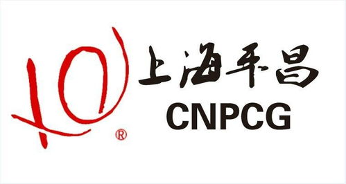 上海平昌投資管理 專業(yè)投資管理的卓越實(shí)踐